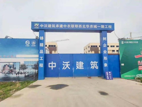 中農聯皖東南涇縣農產品批發市場盛大開工，助力區域農業產業升級
